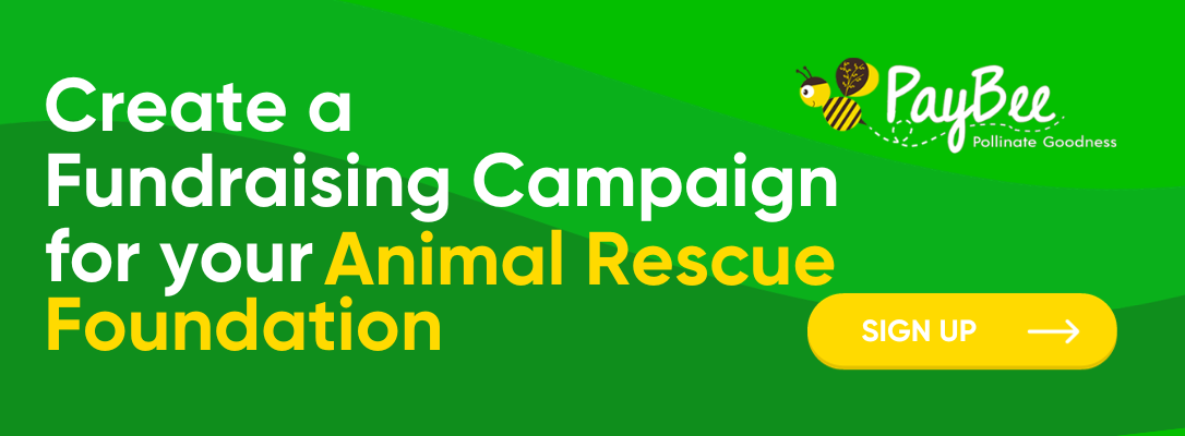 animal rescue site